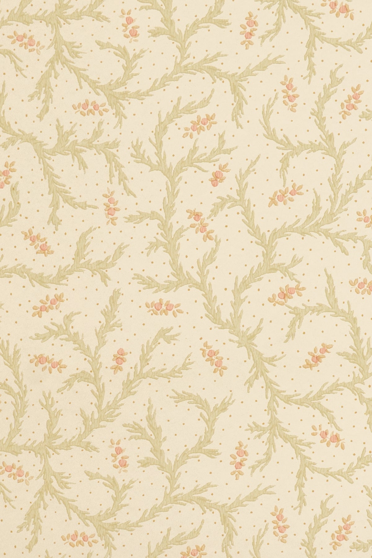 jmp-cle-01 blossom_CLEMENTINE wallpaper