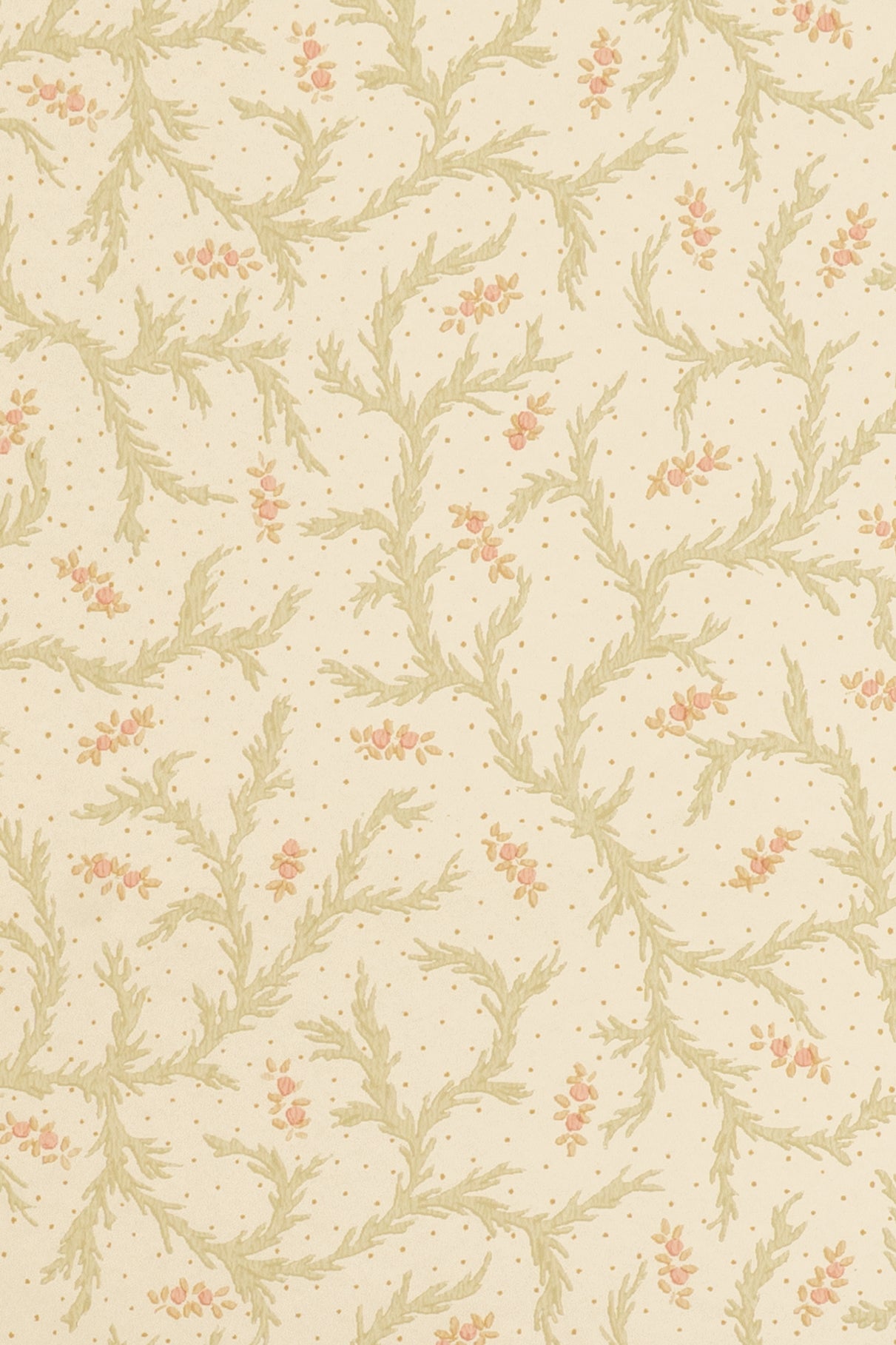 jmp-cle-01 blossom_CLEMENTINE wallpaper