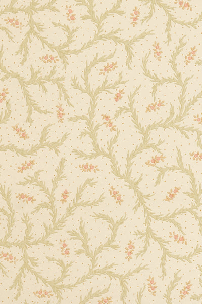jmp-cle-01 blossom_CLEMENTINE wallpaper