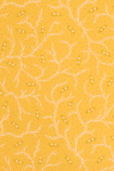 jmp-cle-03 dandelion_CLEMENTINE wallpaper