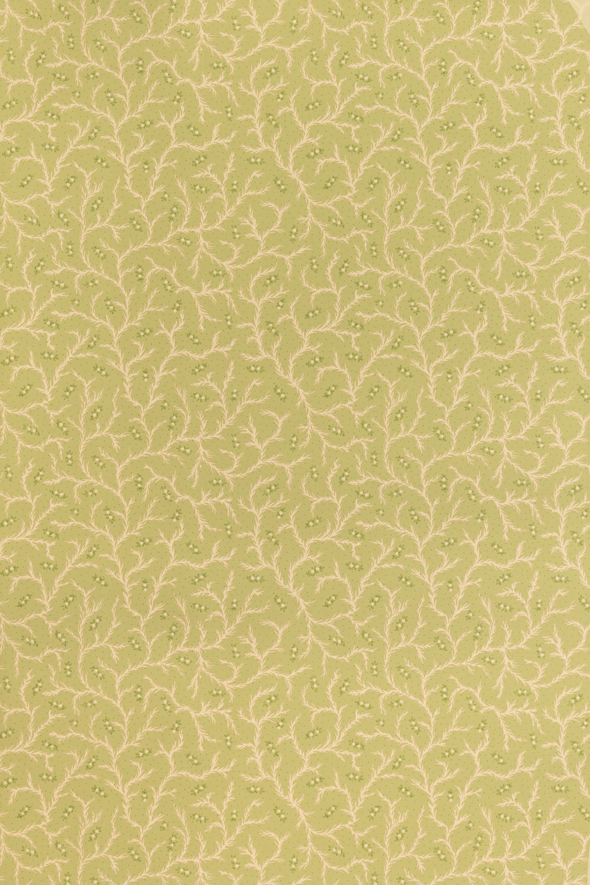 jmp-cle-04 meadow_CLEMENTINE wallpaper