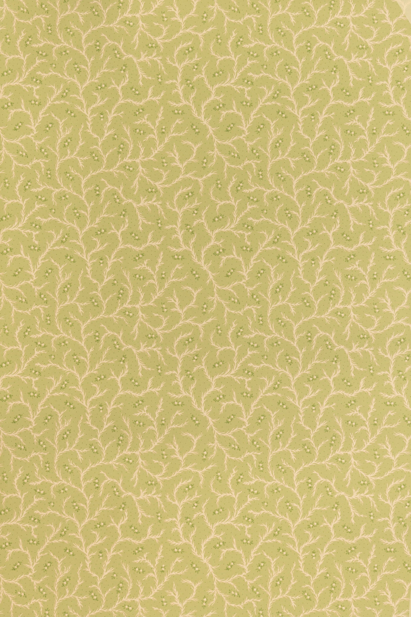 jmp-cle-04 meadow_CLEMENTINE wallpaper