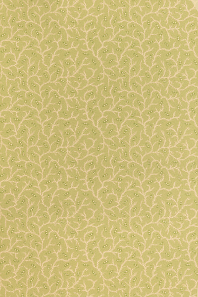 jmp-cle-04 meadow_CLEMENTINE wallpaper
