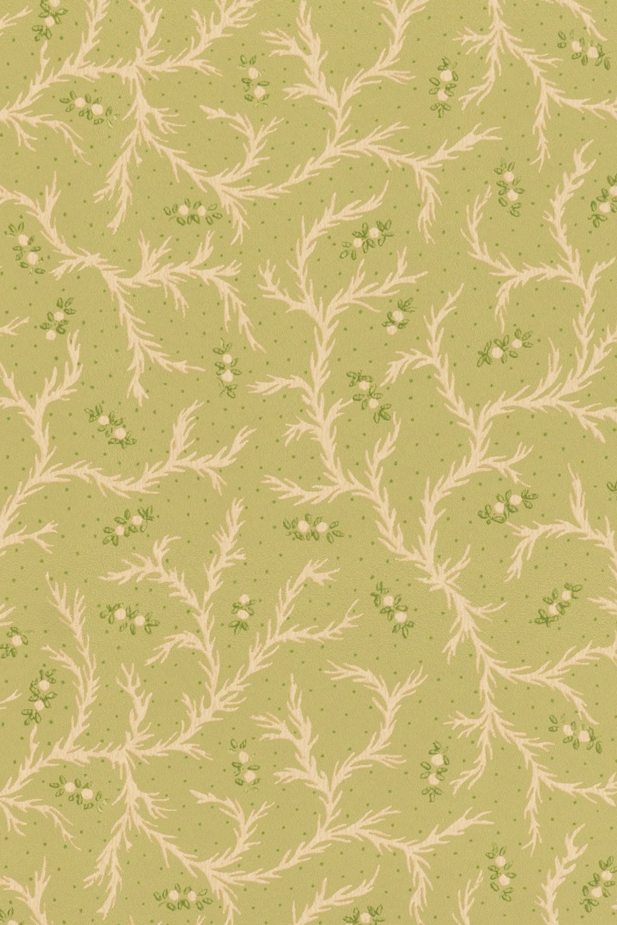 jmp-cle-04 meadow_CLEMENTINE wallpaper