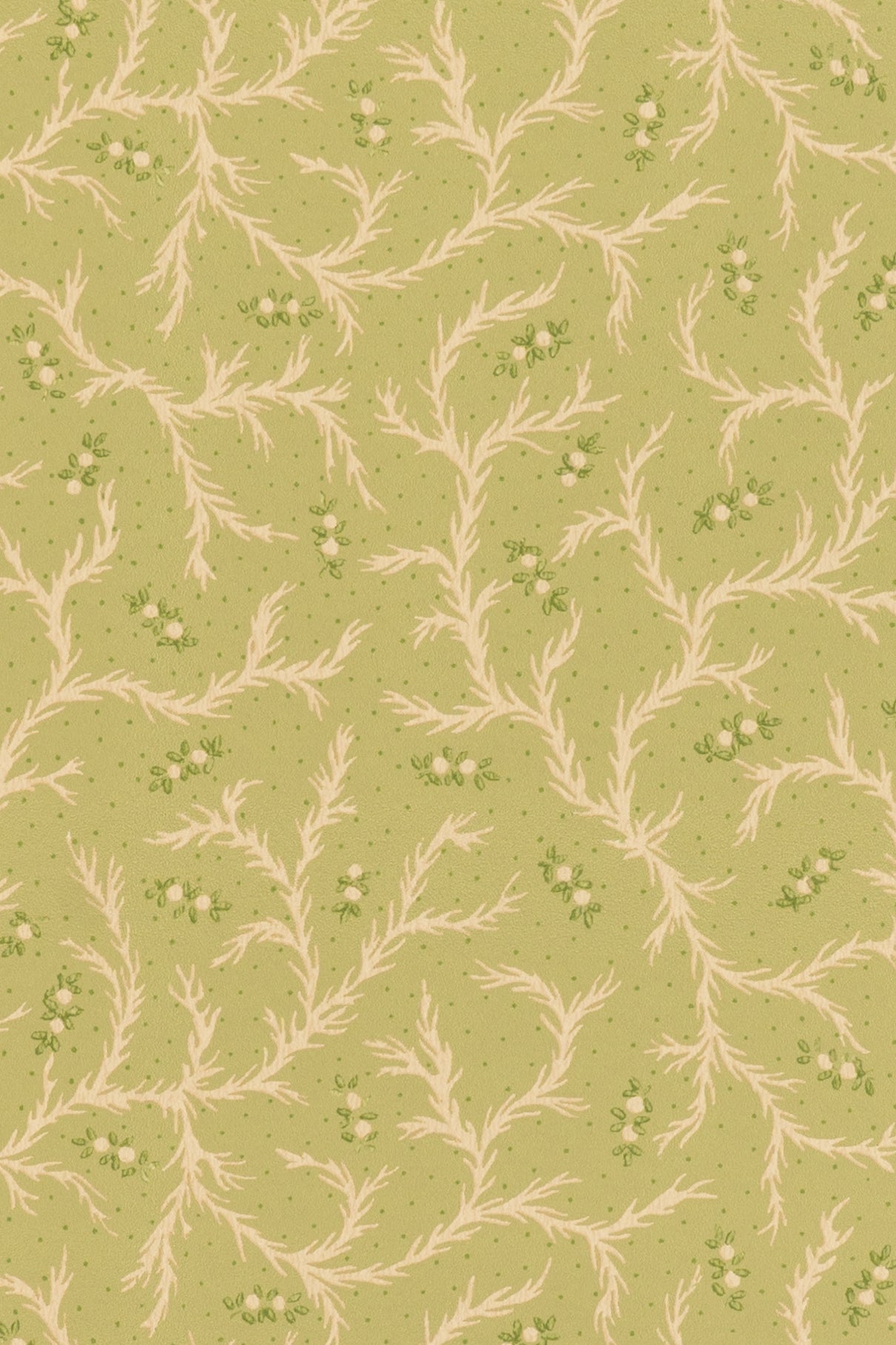 jmp-cle-04 meadow_CLEMENTINE wallpaper