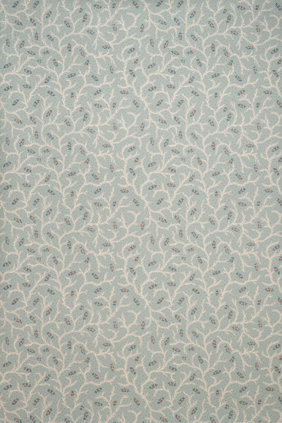 jmp-cle-05 seafoam_CLEMENTINE wallpaper