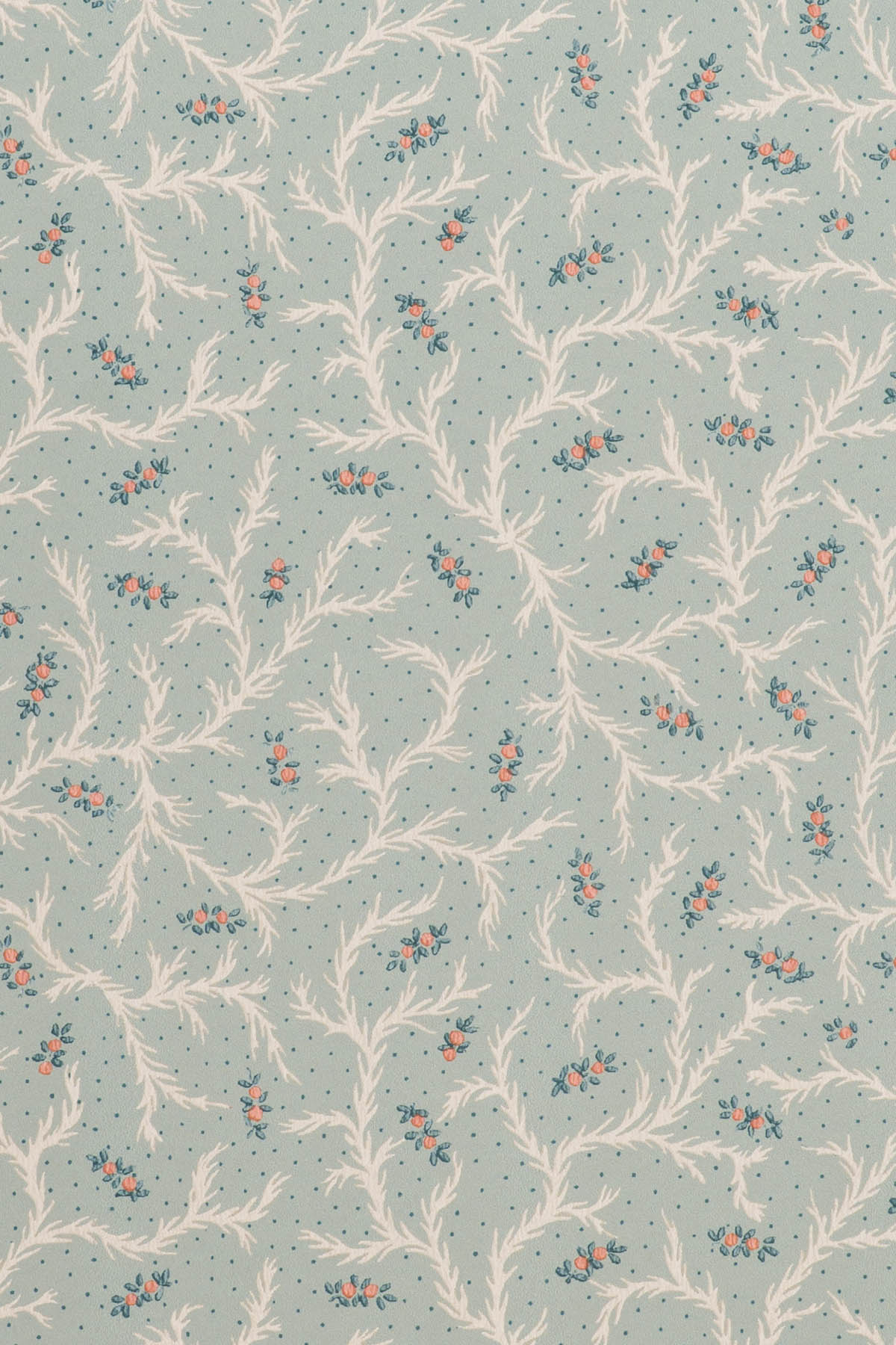 jmp-cle-05 seafoam_CLEMENTINE wallpaper