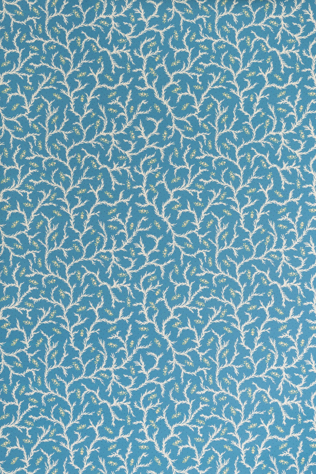 jmp-cle-06 cobalt_CLEMENTINE wallpaper