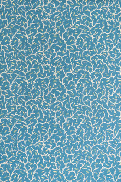 jmp-cle-06 cobalt_CLEMENTINE wallpaper