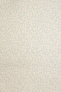 JMP-CLE-07 sea salt