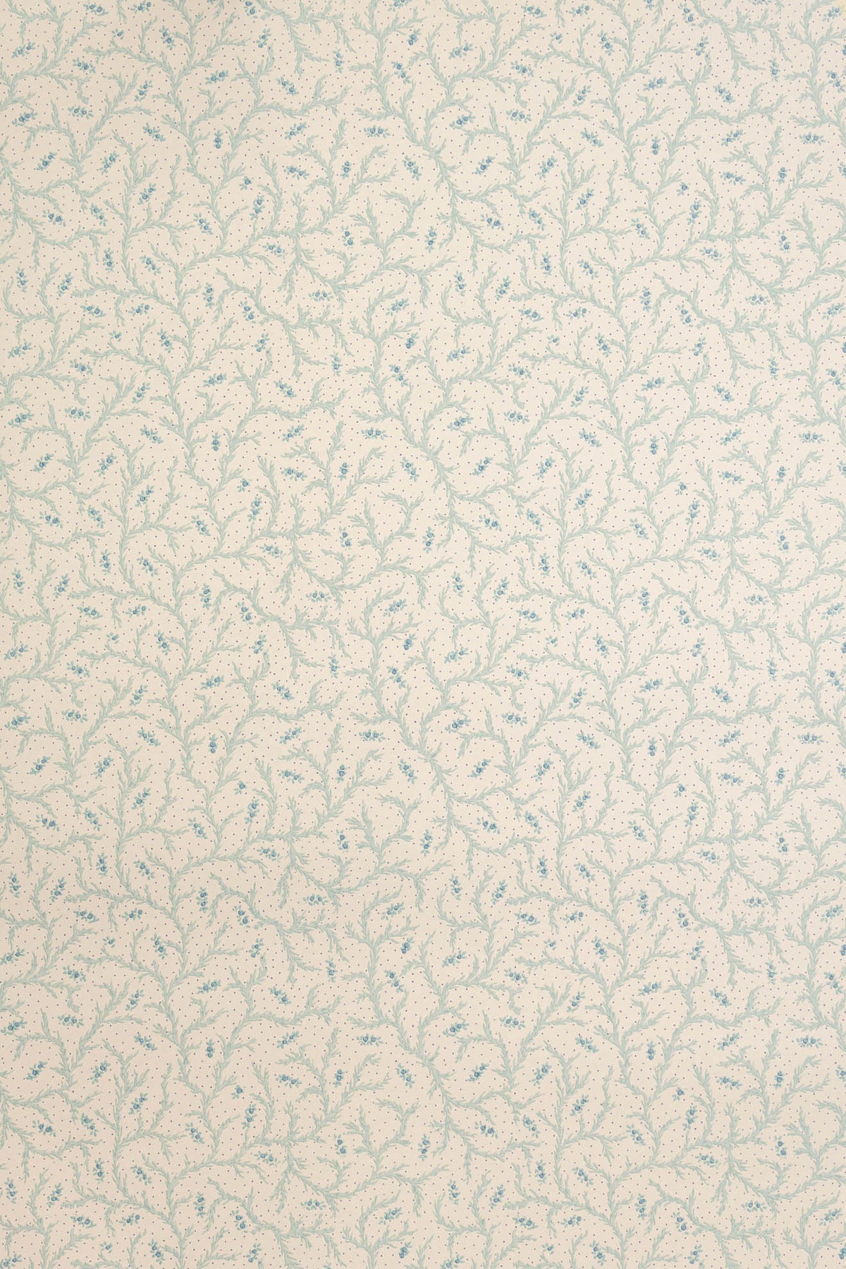 jmp-cle-07 sea salt_CLEMENTINE wallpaper