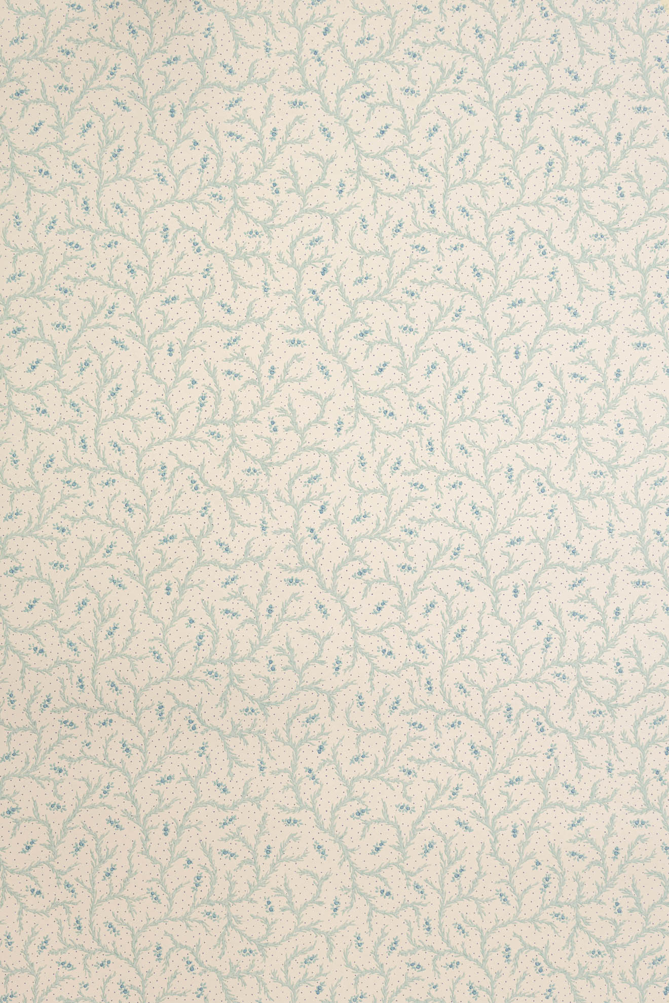 jmp-cle-07 sea salt_CLEMENTINE wallpaper