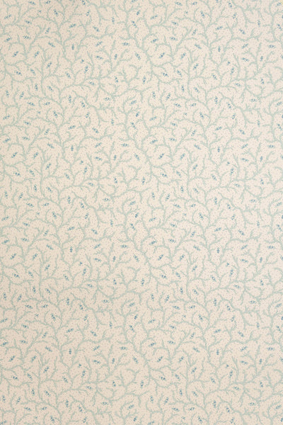 jmp-cle-07 sea salt_CLEMENTINE wallpaper