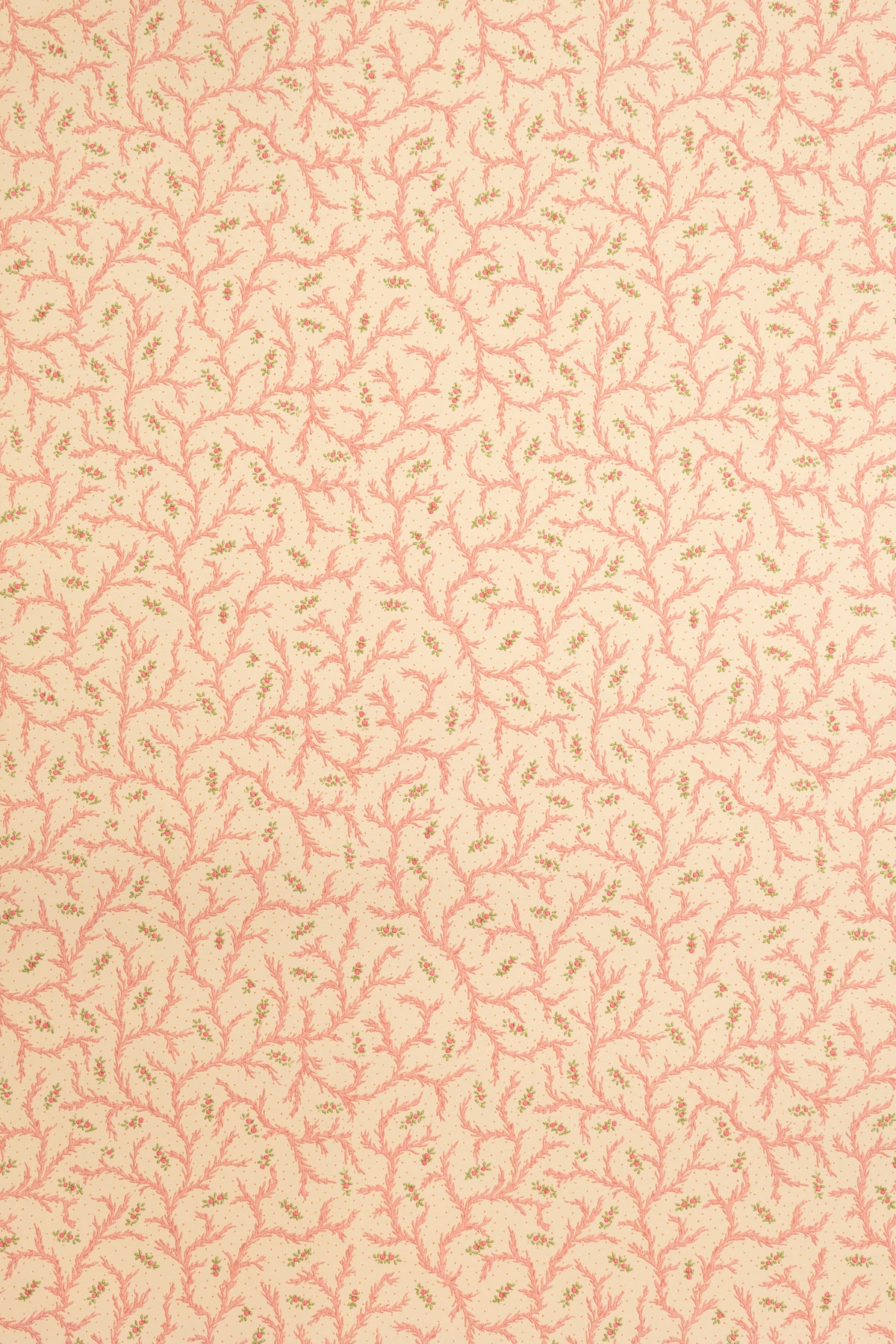 jmp-cle-08 strawberry_CLEMENTINE wallpaper