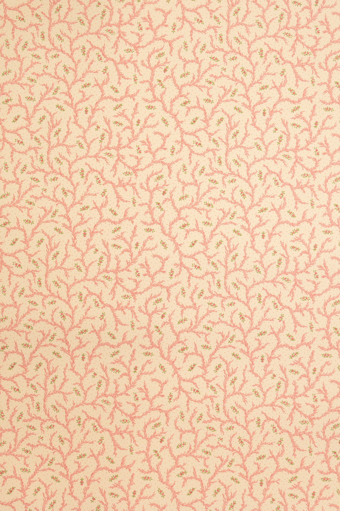 jmp-cle-08 strawberry_CLEMENTINE wallpaper