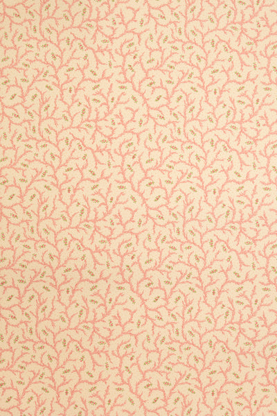 jmp-cle-08 strawberry_CLEMENTINE wallpaper