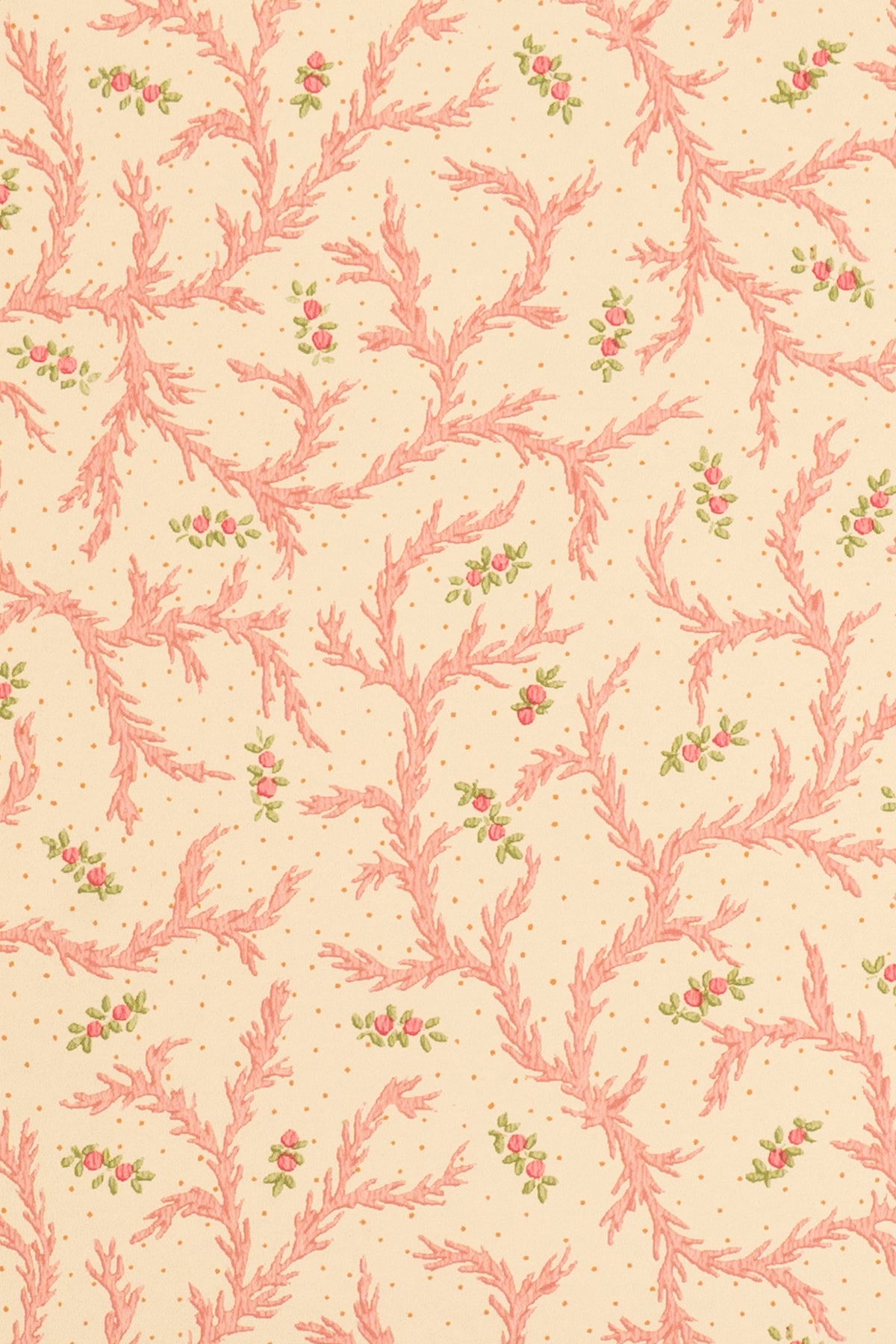 jmp-cle-08 strawberry_CLEMENTINE wallpaper