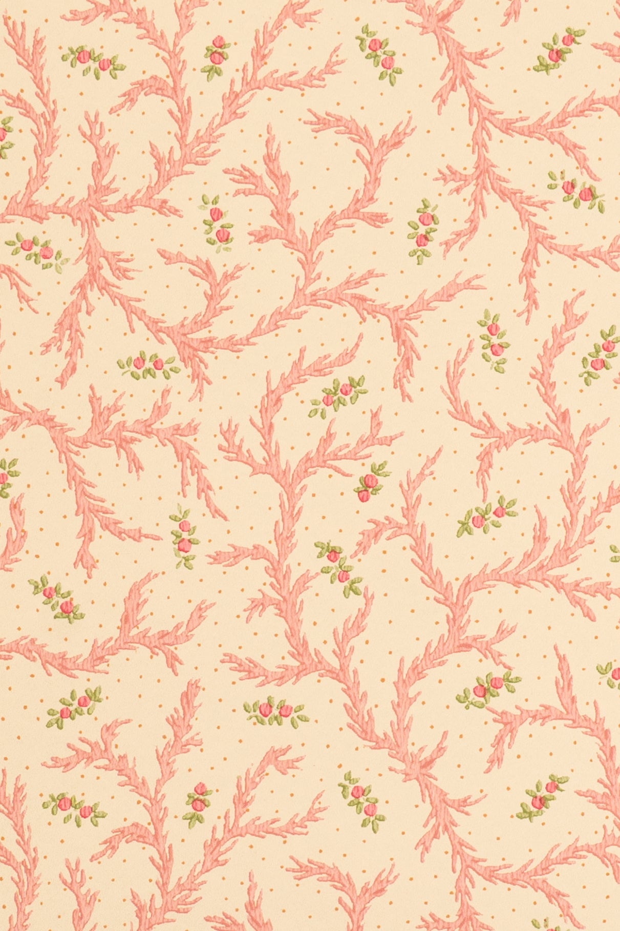 jmp-cle-08 strawberry_CLEMENTINE wallpaper