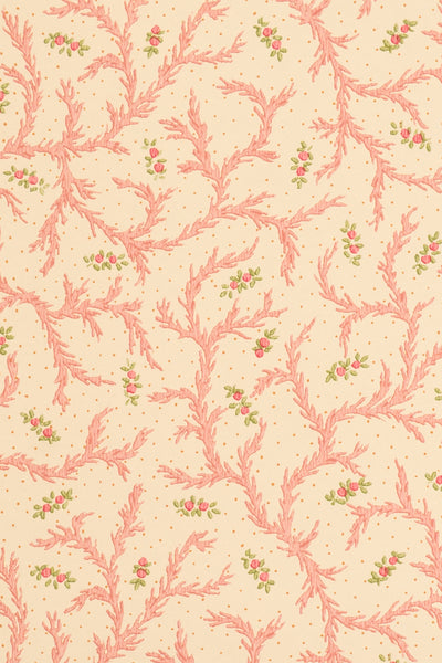 jmp-cle-08 strawberry_CLEMENTINE wallpaper