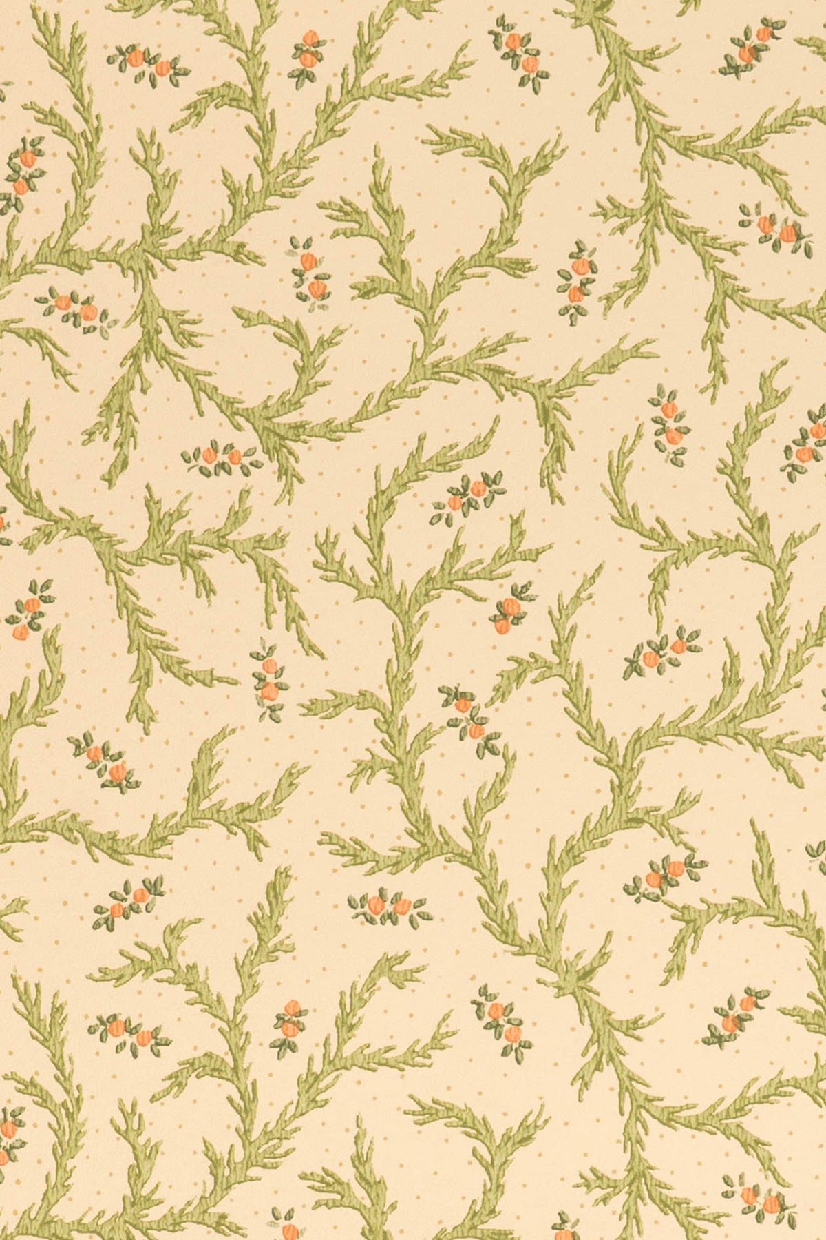 jmp-cle-02 document_CLEMENTINE wallpaper