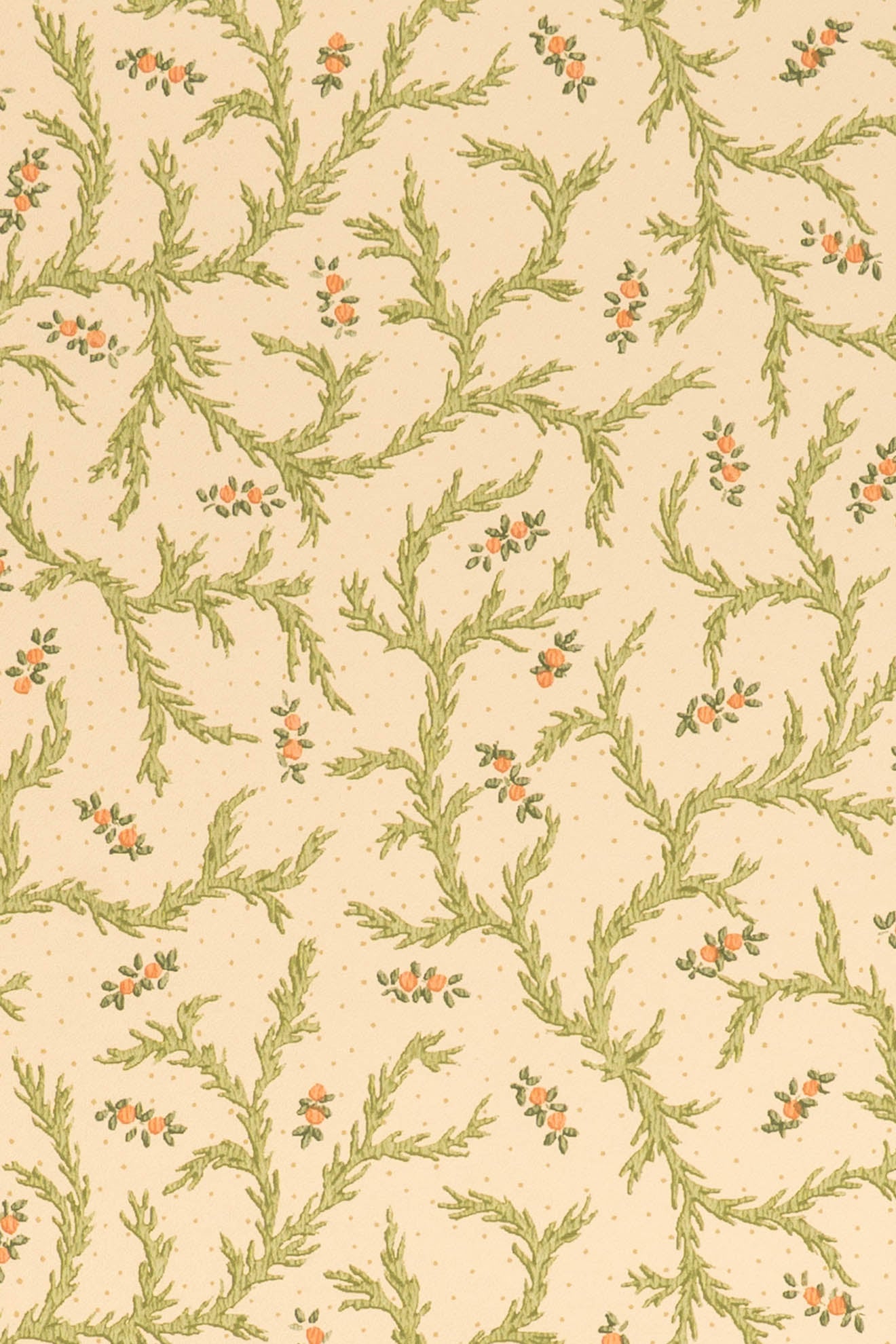jmp-cle-02 document_CLEMENTINE wallpaper