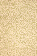 JMP-CLE-02 document
