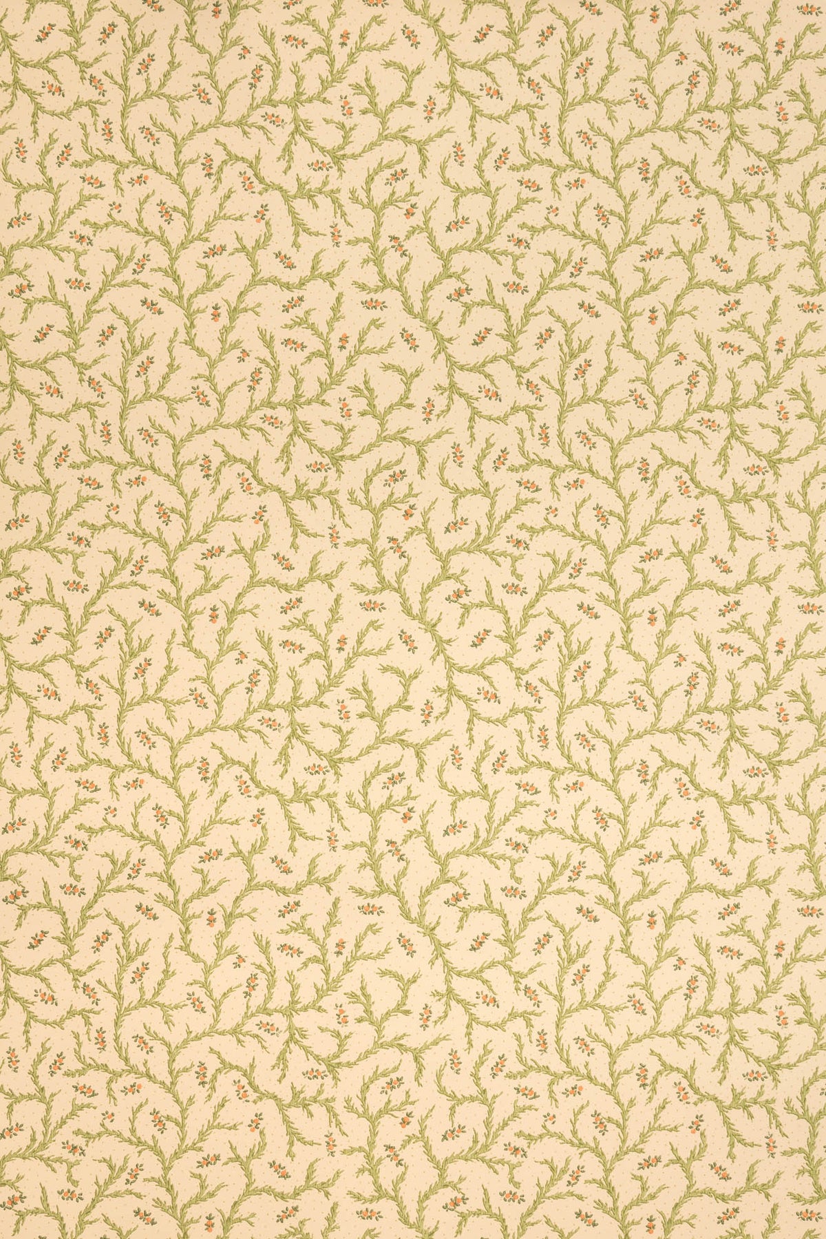 jmp-cle-02 document_CLEMENTINE wallpaper