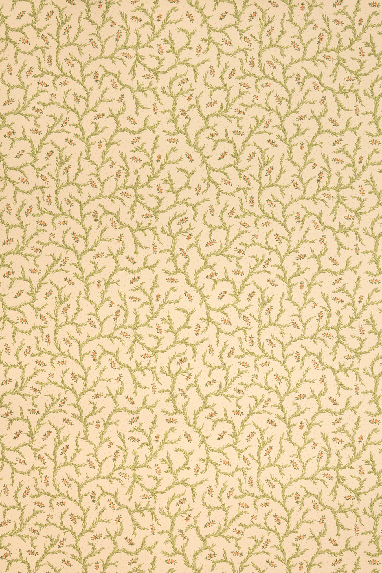 jmp-cle-02 document_CLEMENTINE wallpaper