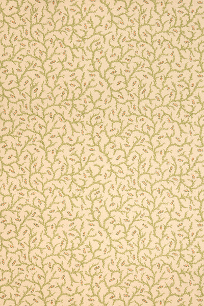 jmp-cle-02 document_CLEMENTINE wallpaper