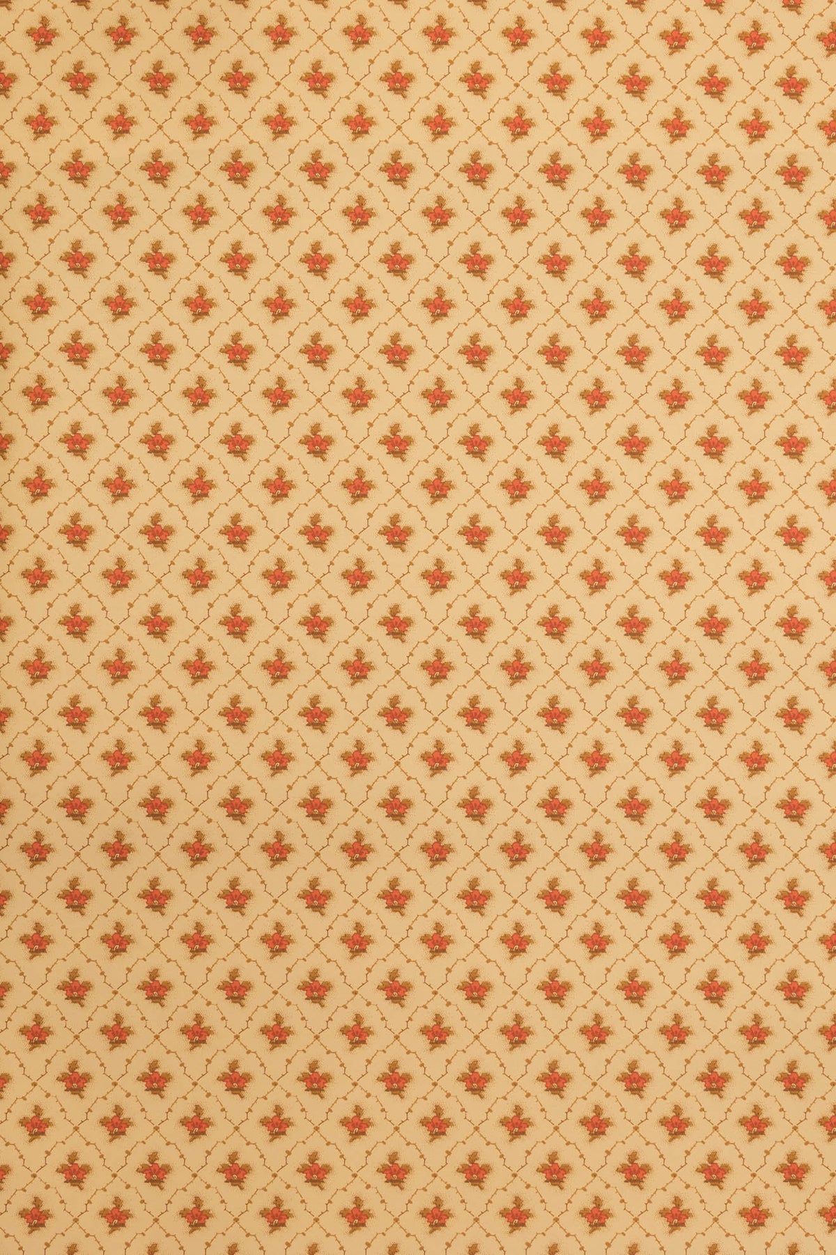 jmp-clo-02 flowerpot_CLOVER wallpaper