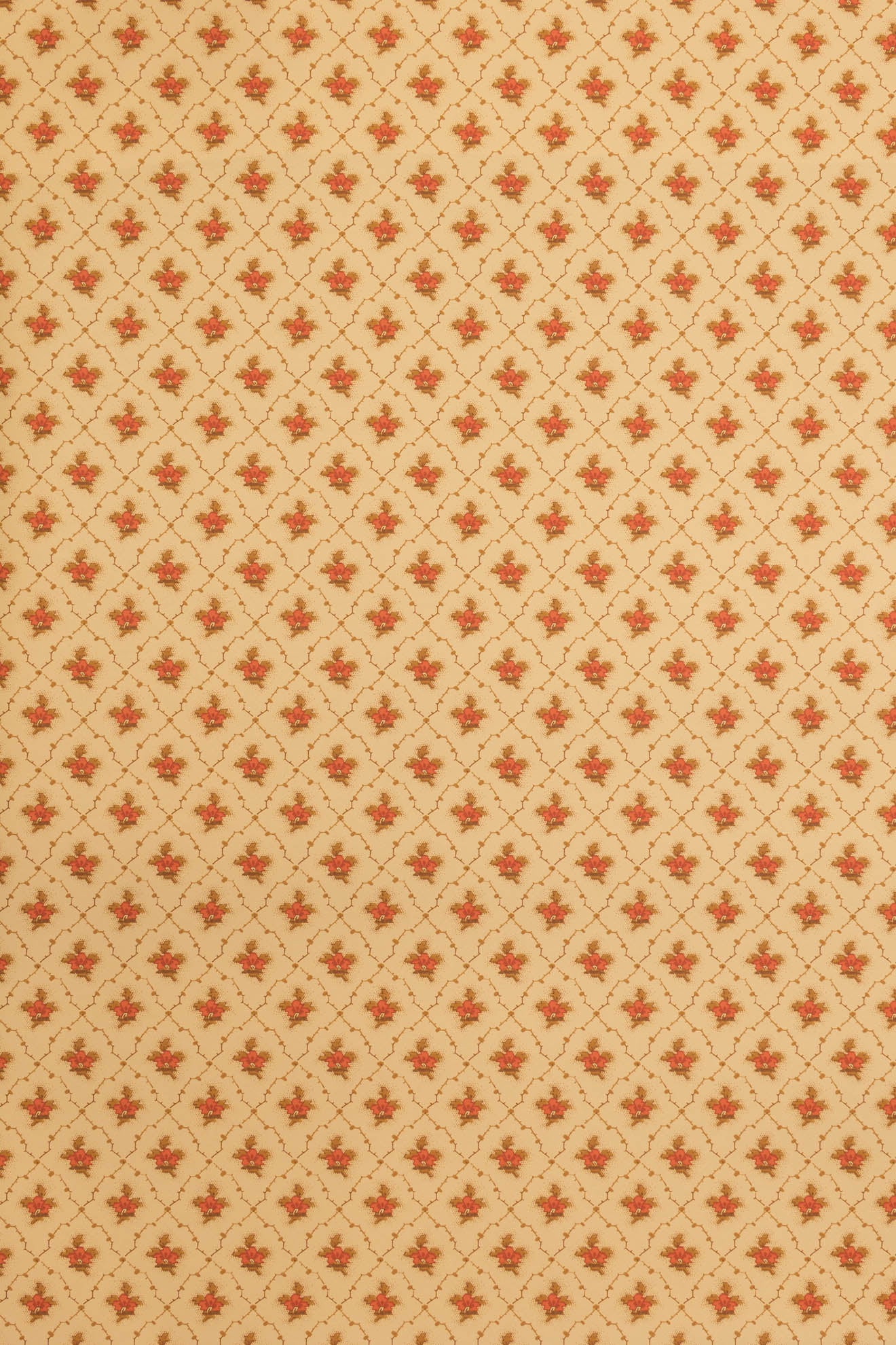 jmp-clo-02 flowerpot_CLOVER wallpaper