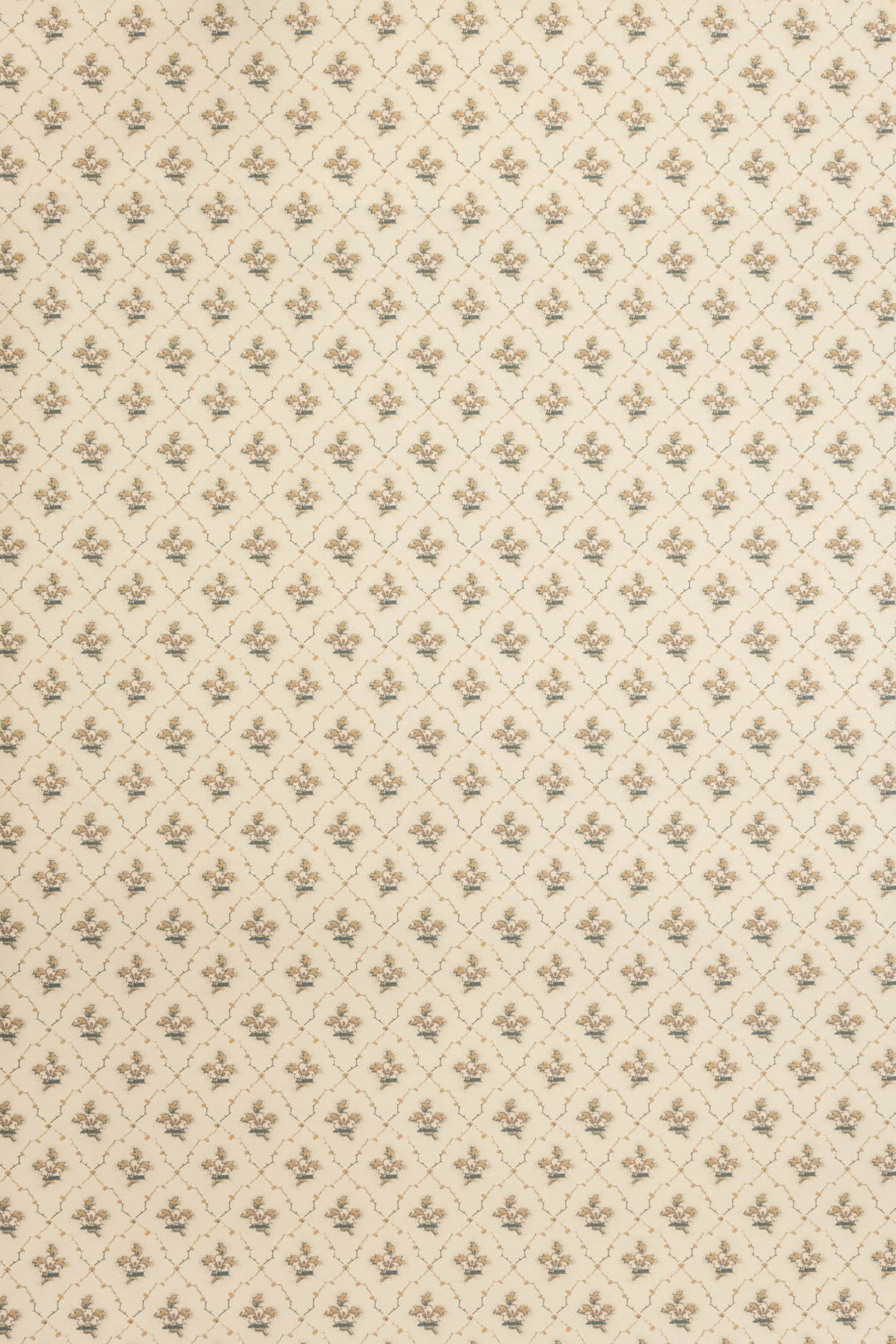 jmp-clo-03 weasel_CLOVER wallpaper