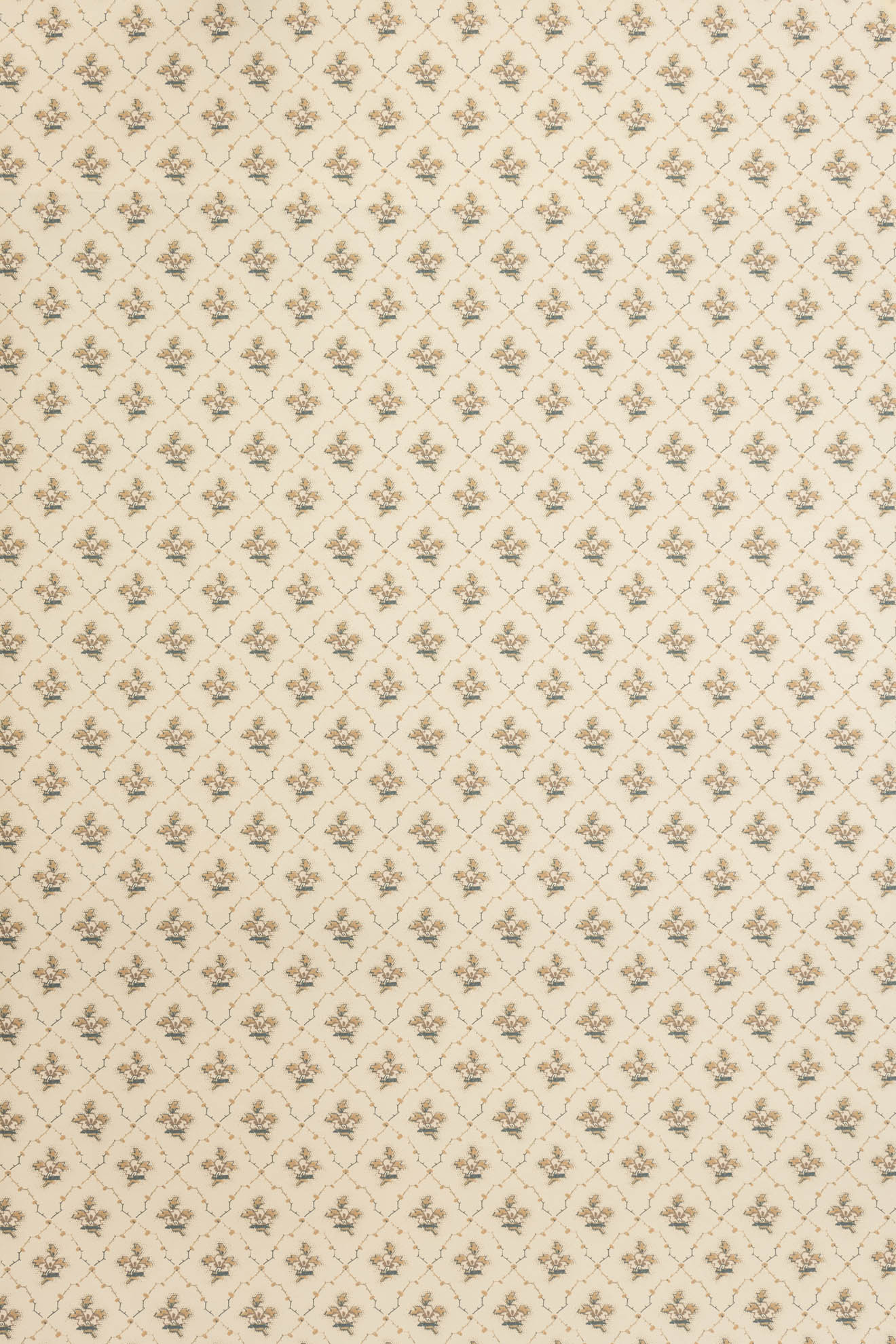 jmp-clo-03 weasel_CLOVER wallpaper