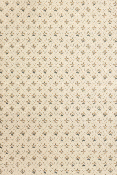 jmp-clo-03 weasel_CLOVER wallpaper