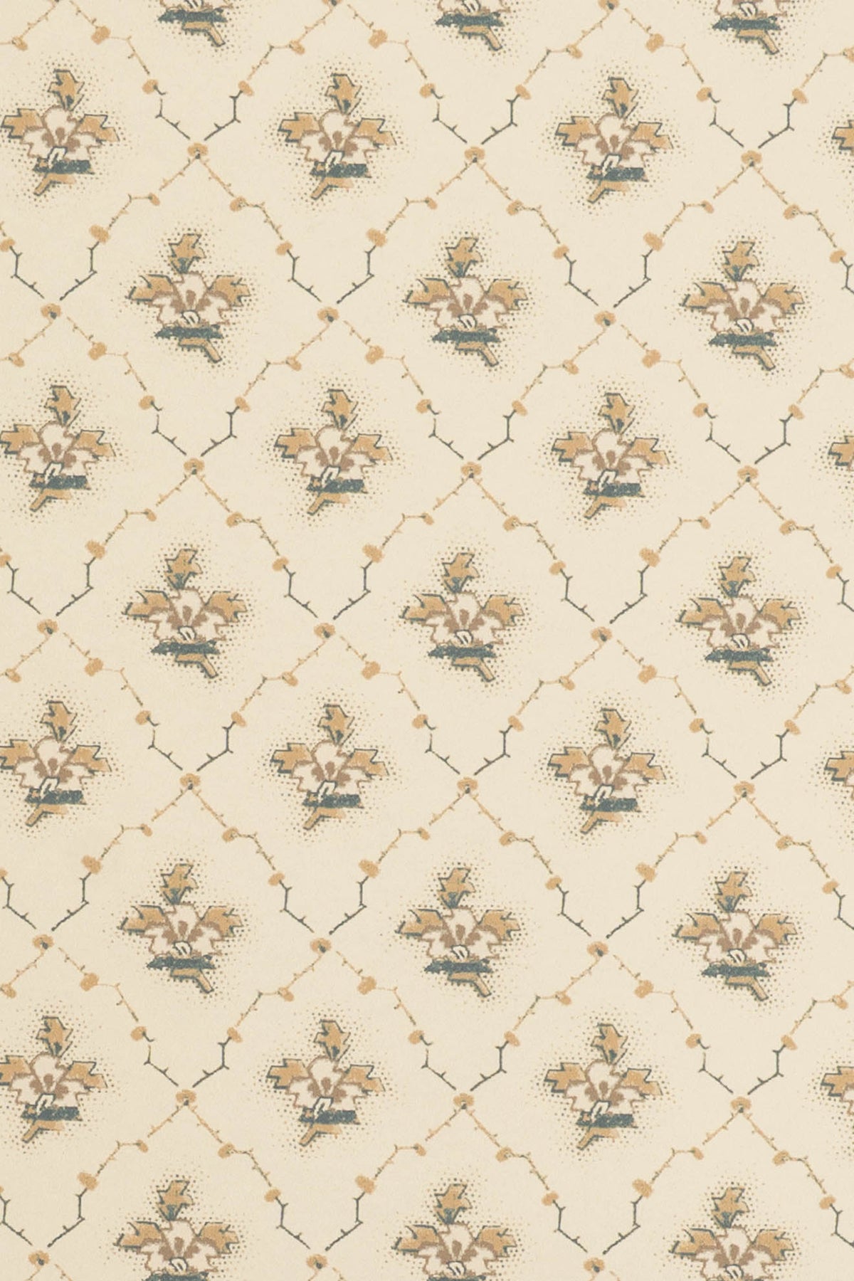 jmp-clo-03 weasel_CLOVER wallpaper