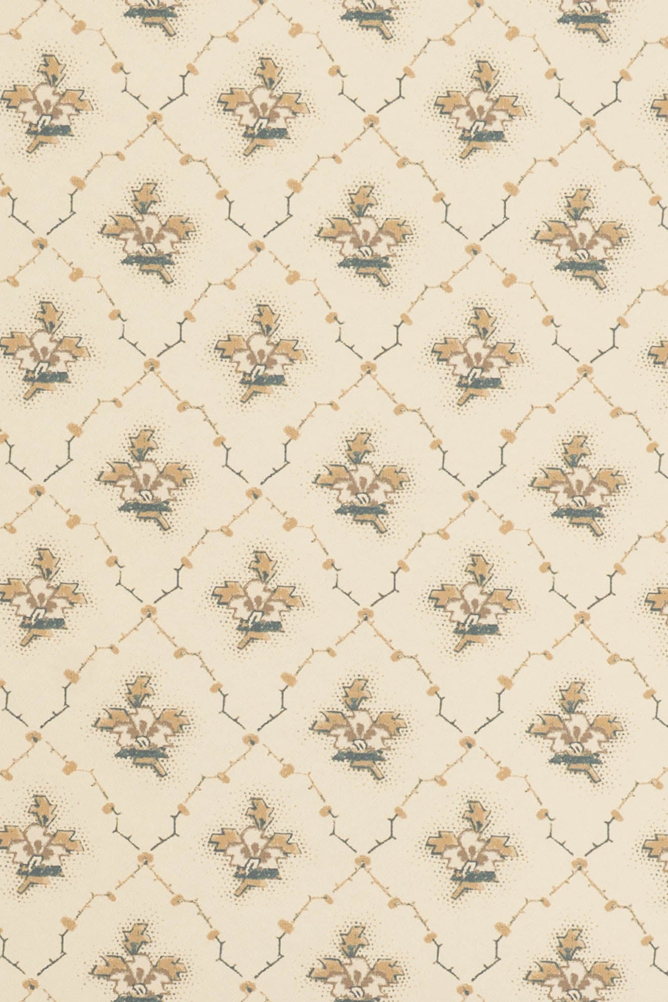 jmp-clo-03 weasel_CLOVER wallpaper