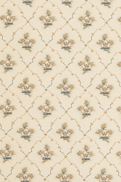 jmp-clo-03 weasel_CLOVER wallpaper