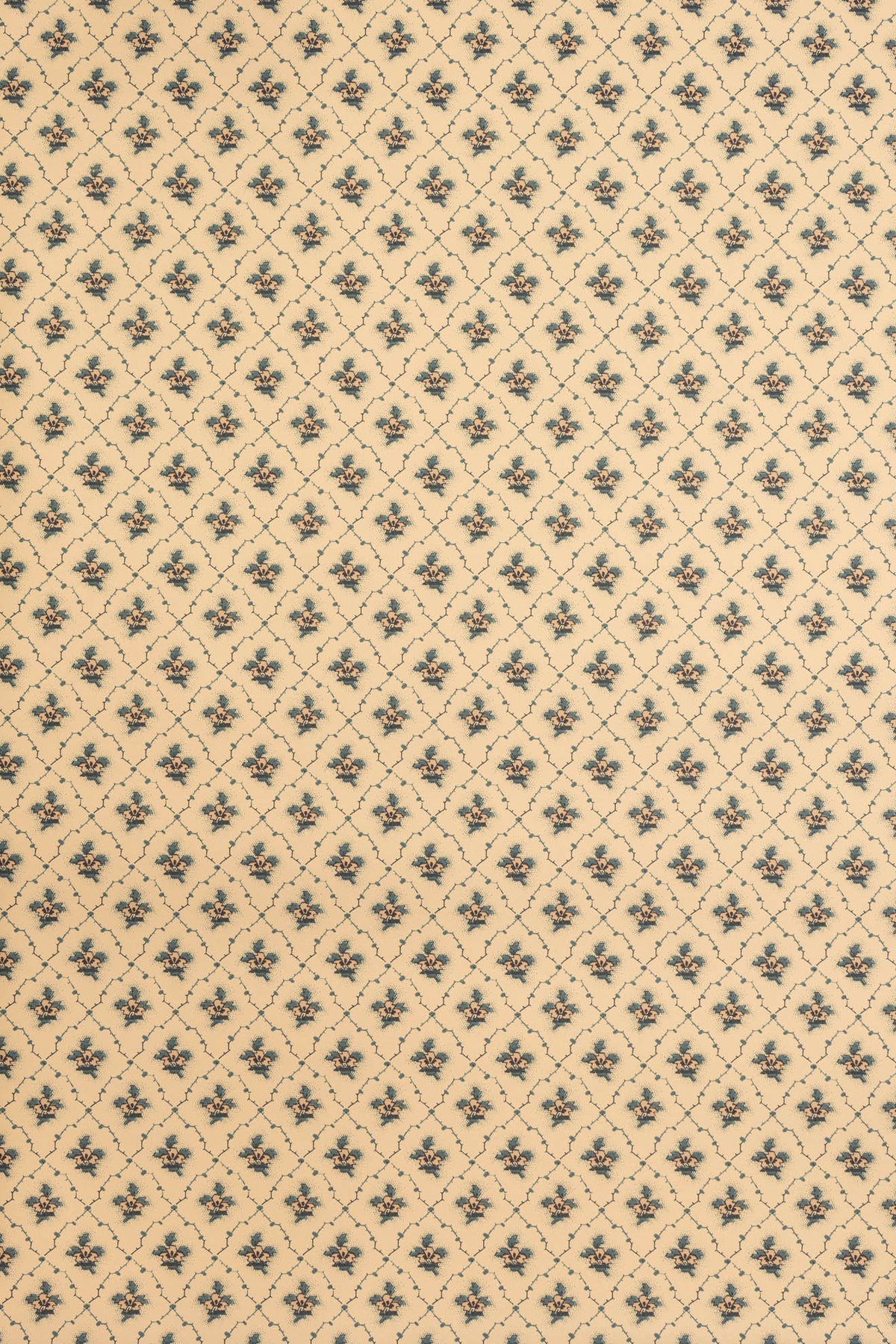 jmp-clo-04 tank_CLOVER wallpaper