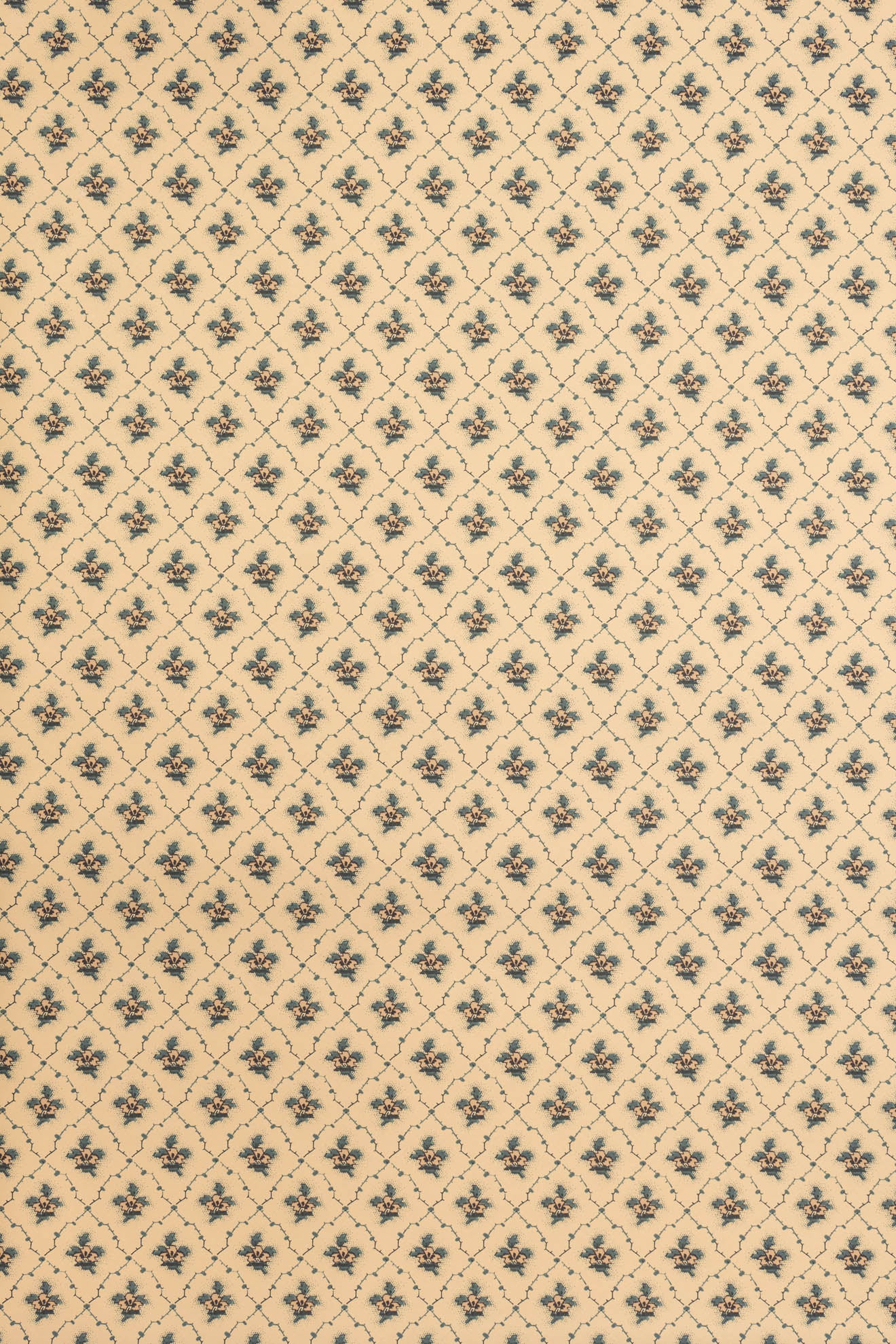 jmp-clo-04 tank_CLOVER wallpaper