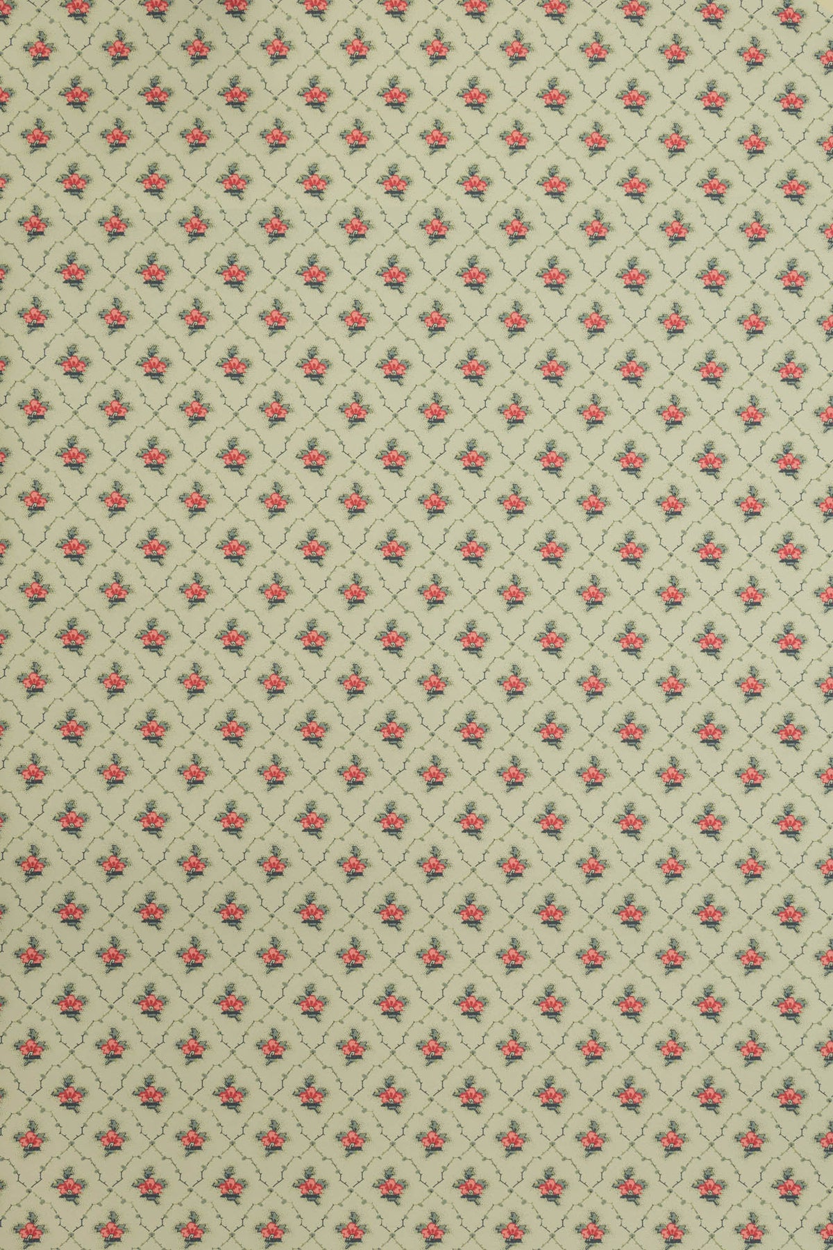 jmp-clo-05 legbar_CLOVER wallpaper
