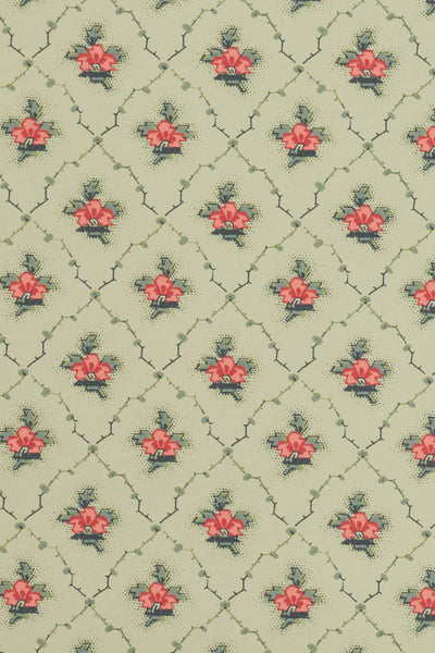 jmp-clo-05 legbar_CLOVER wallpaper