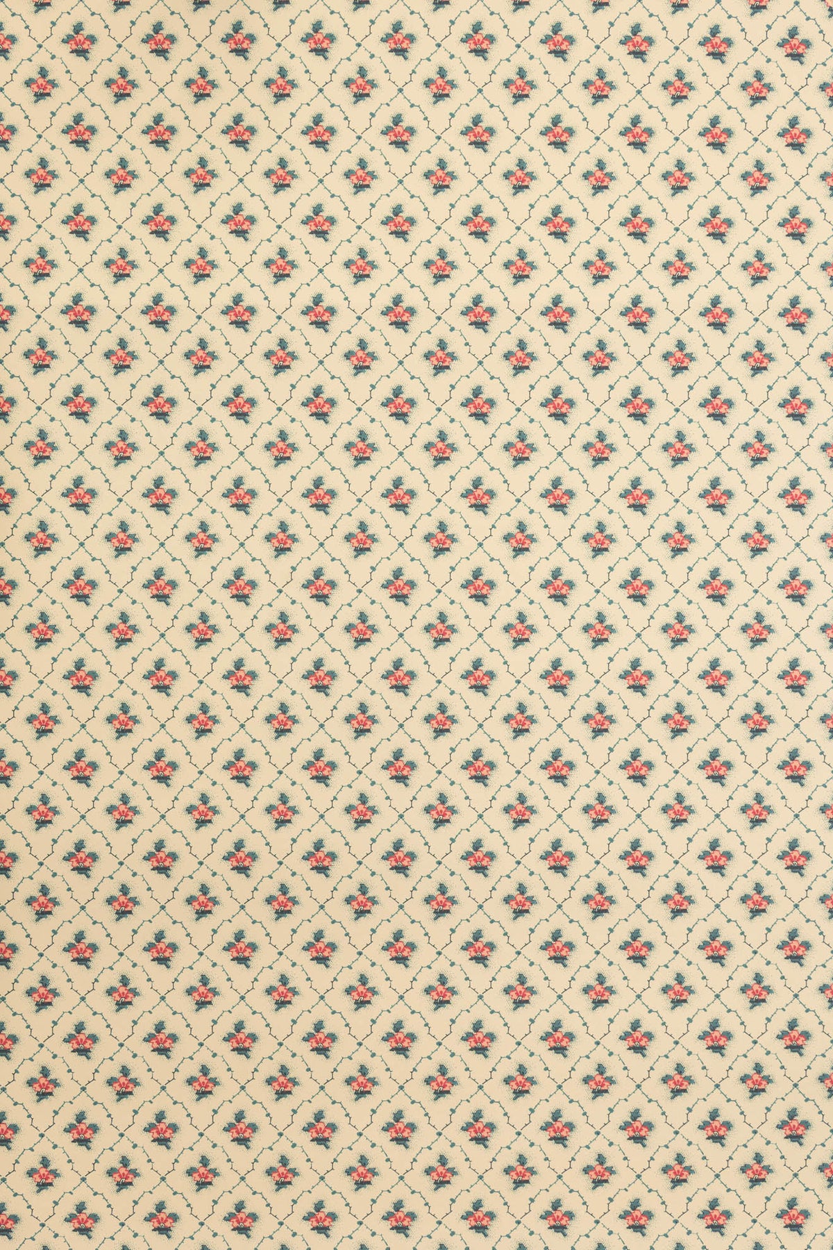 jmp-clo-06 document_CLOVER wallpaper