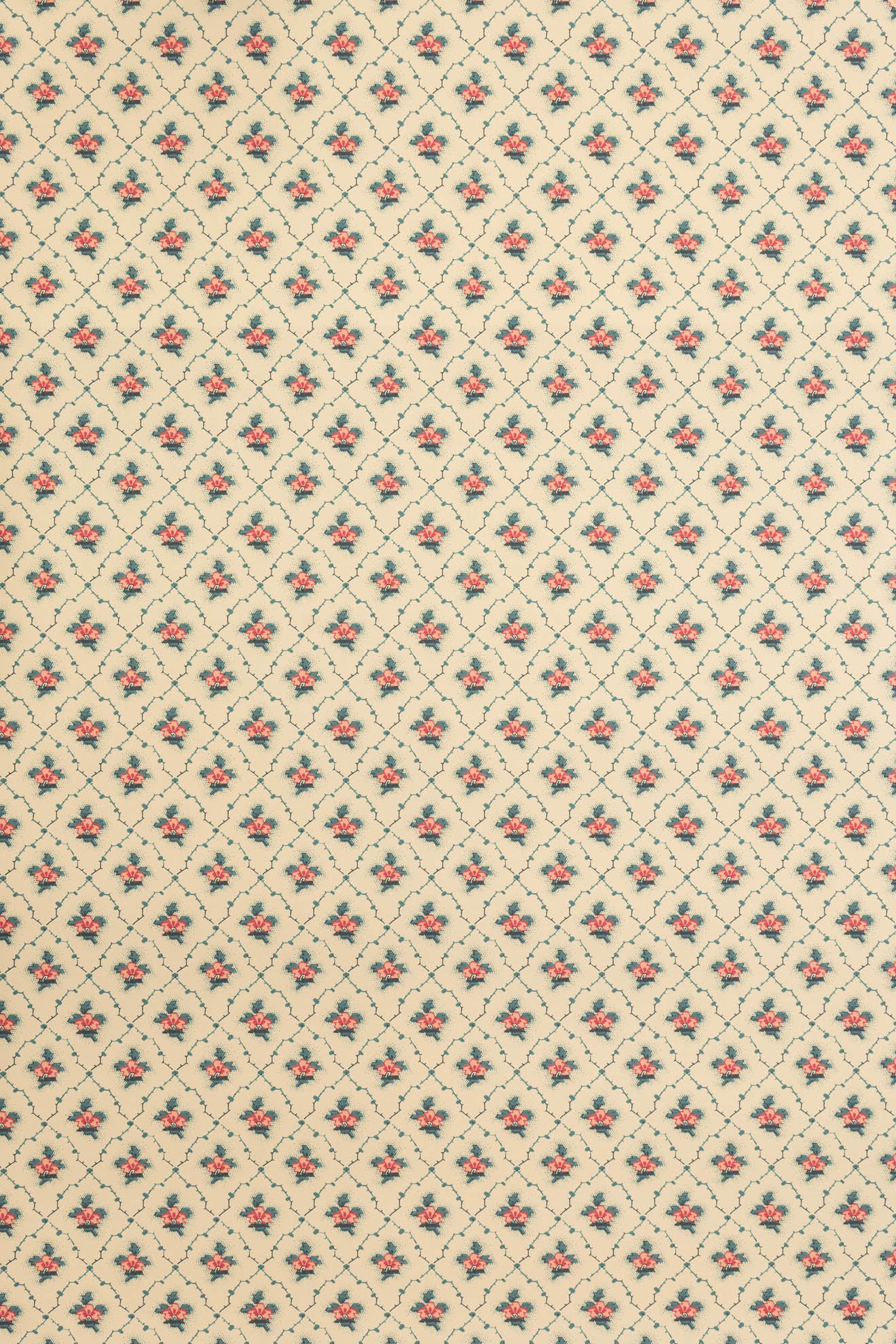 jmp-clo-06 document_CLOVER wallpaper
