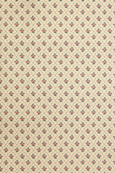 jmp-clo-06 document_CLOVER wallpaper