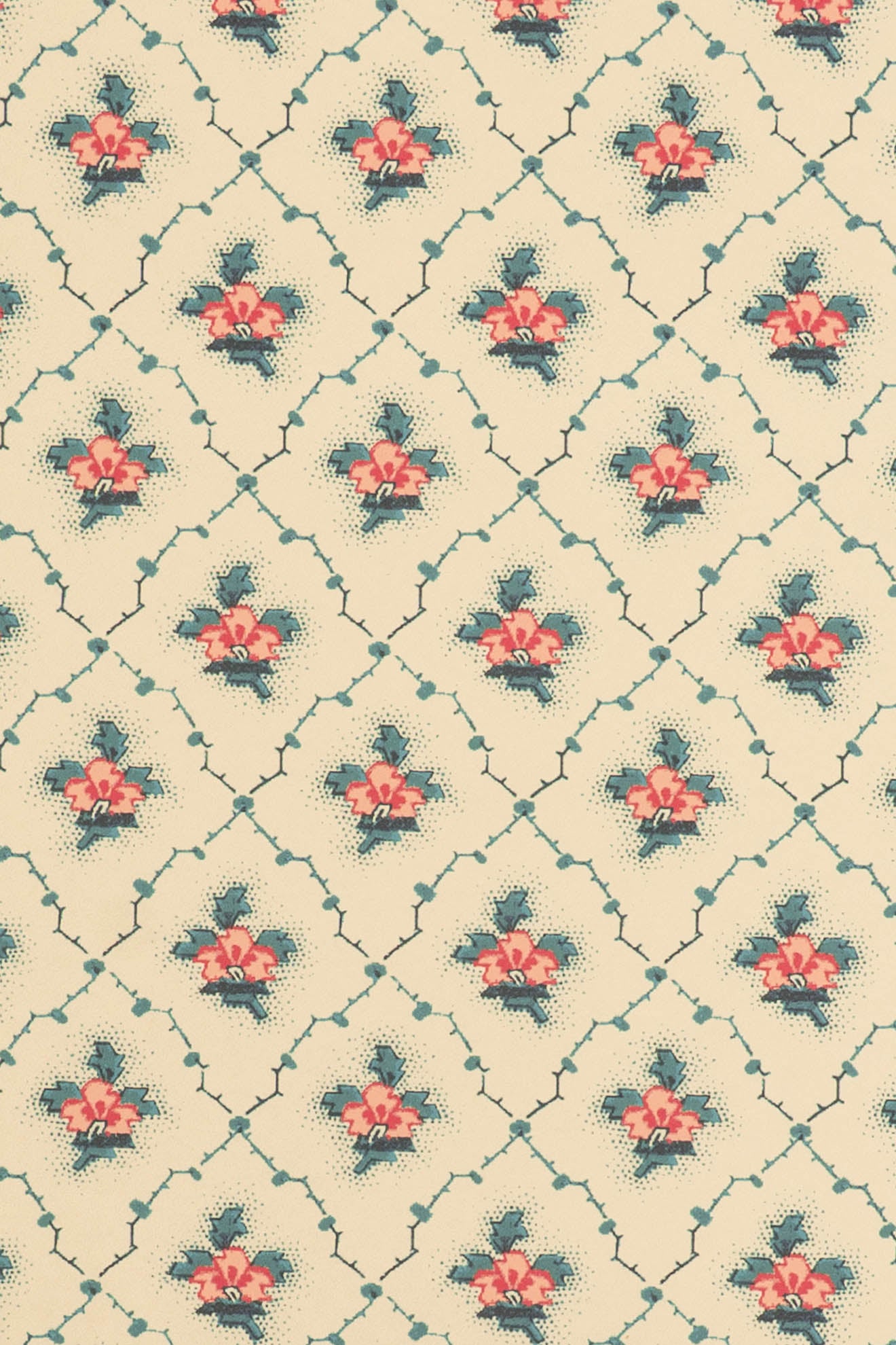 jmp-clo-06 document_CLOVER wallpaper