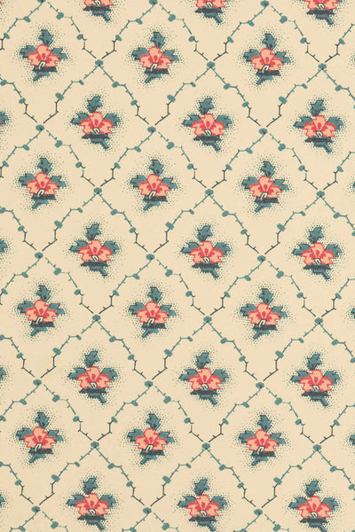 jmp-clo-06 document_CLOVER wallpaper
