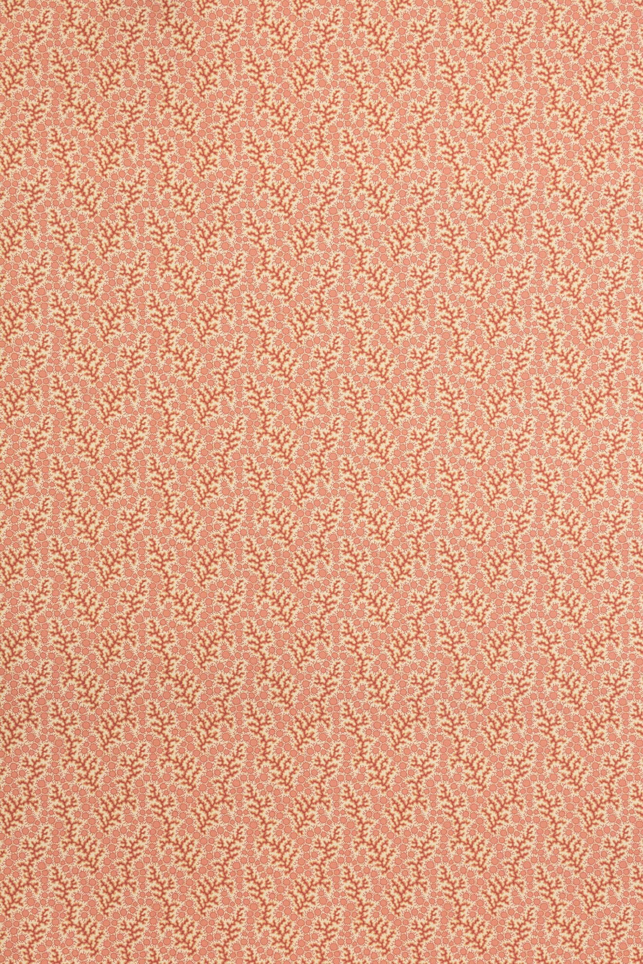 jmp-cor-01 crustacean_CORALIE wallpaper