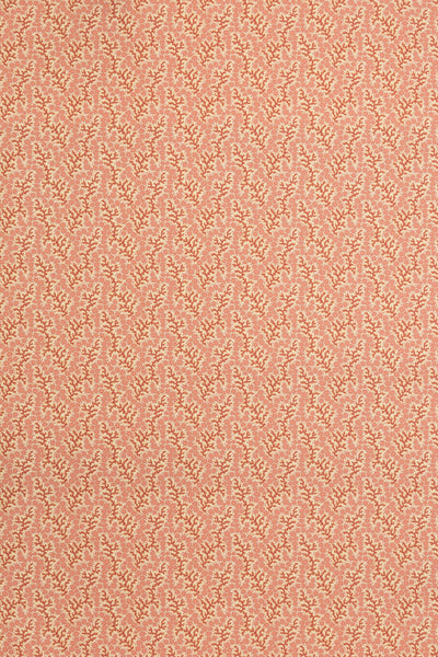 jmp-cor-01 crustacean_CORALIE wallpaper
