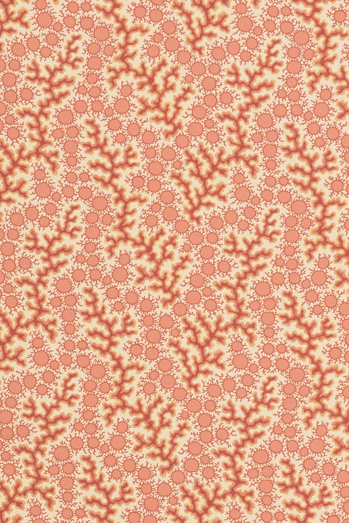 jmp-cor-01 crustacean_CORALIE wallpaper