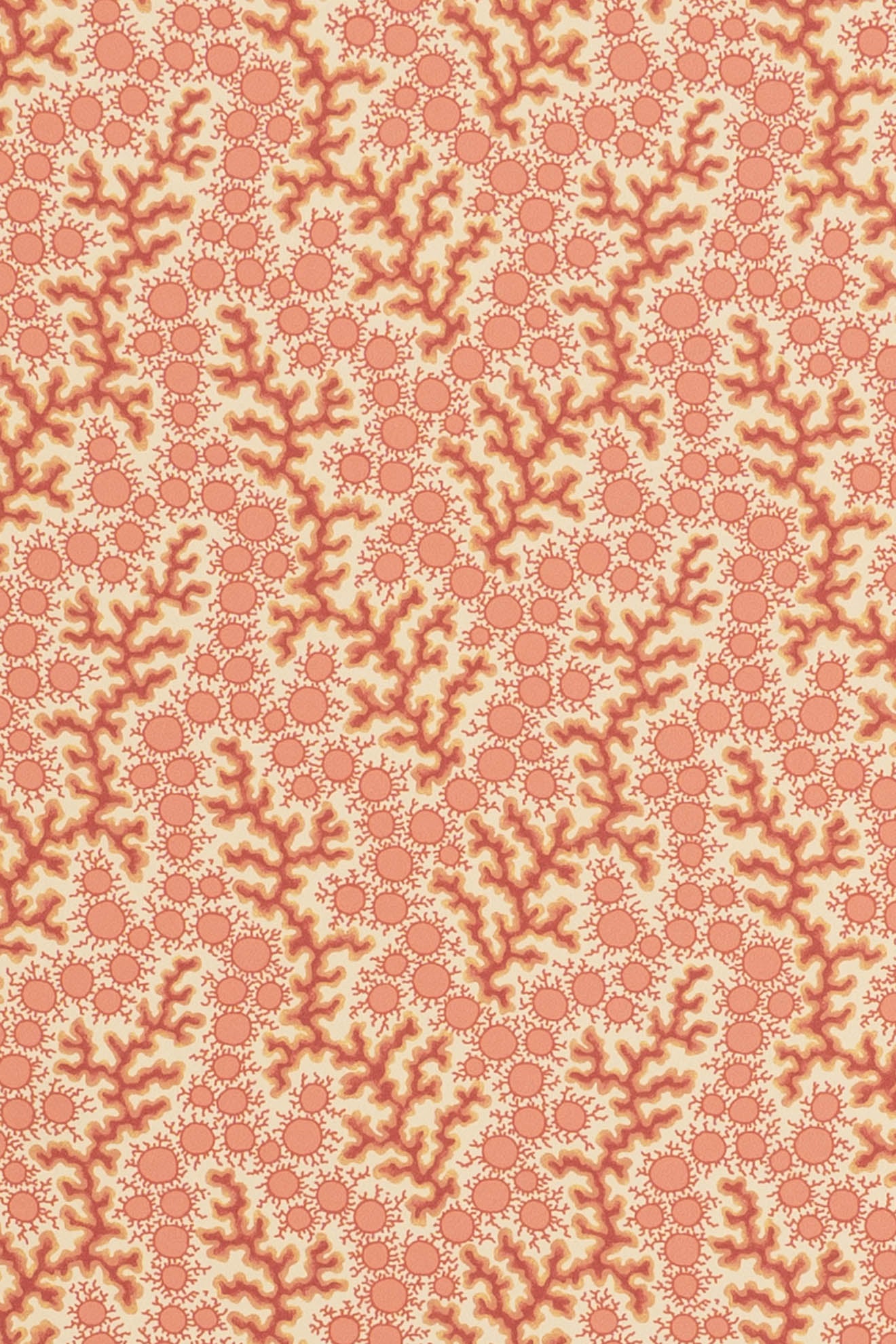jmp-cor-01 crustacean_CORALIE wallpaper